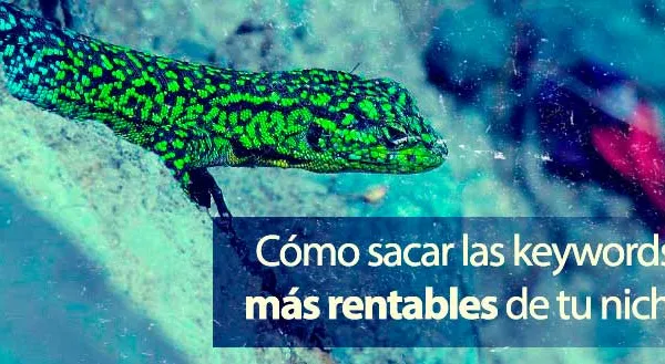 Cómo obtener keywords long tails y de alto CPC