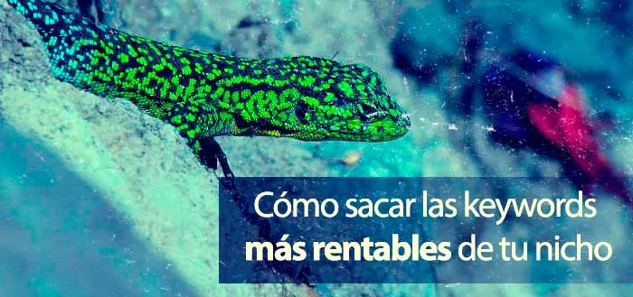 Cómo obtener keywords long tails y de alto CPC