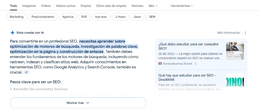  ai overviews busca en internet 